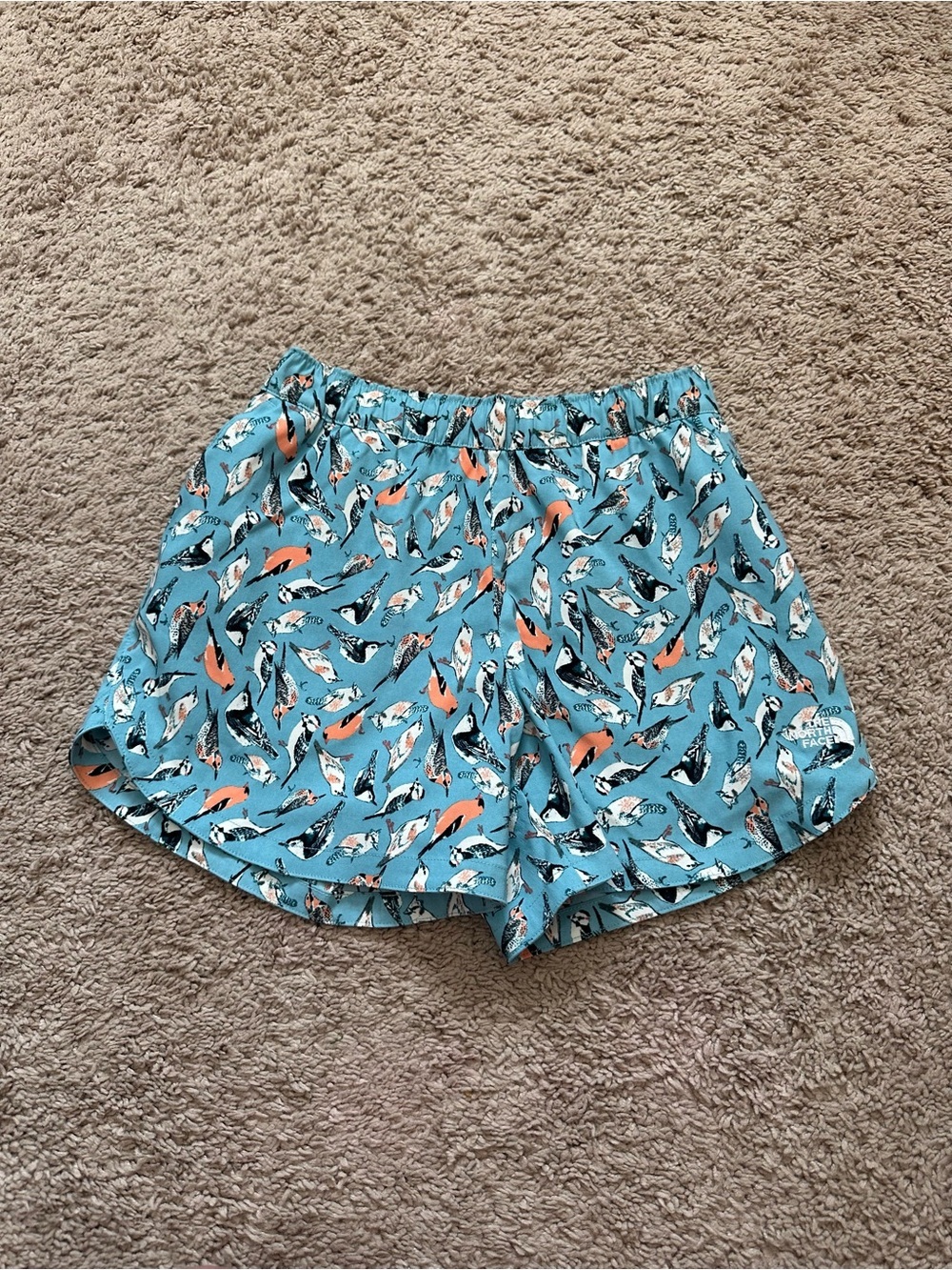 Women's The North Face TNF Bird Printed Allover Print Class V Shorts Size XS